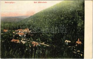 Barlangliget, Höhlenhain, Tatranská Kotlina (Tátra, Magas Tátra, Vysoké Tatry); látkép. Feitzinger Ede No. 815. 1906/16. / general view, spa