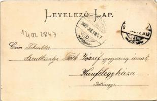 1905 Barlangliget, Höhlenhain, Tatranská Kotlina (Tátra, Magas Tátra, Vysoké Tatry); látkép. Feitzin...