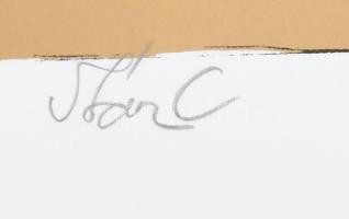 Szász Endre (1926-2003): Női alak. Szitanyomat, papír, jelzett, számozott (35/100) 58x46 cm,