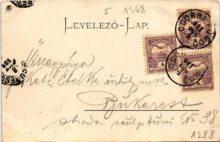 1901 Poprád (Magas-Tátra, Vysoké Tatry); Huszpark kávéház / café, park (EK)