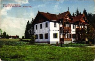 1925 Felsőzúgó-fürdő, Ruzsbachfürdő, Bad Ober Rauschenbach, Kúpele Vysné Ruzbachy; Terézia nyaraló / villa, spa (EK)