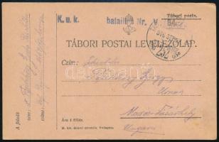 1916 Field postcard "K.u.k. bataillon Nr. V. 64." + "TP 252", 1916 Tábori posta levelezőlap "K.u.k. bataillon Nr. V. 64." + "TP 252"