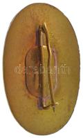 1984. "Széchenyi István Gimnázium Budapest 1984" zománcozott fém iskolajelvény (38x23mm) T...