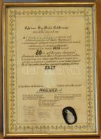 Dr. Mauritz Béla professzor 80. születésnapjának emléket állító oklevél, üvegezett keretben, híres tanárok, ásványtudósok aláírásával (41 x 29cm)