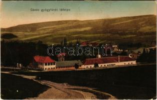 1908 Gánóc, Gansdorf, Gánóc-gyógyfürdő, Kúpele Gánovce, Gánovce; fürdő látképe / general view, spa (EK)