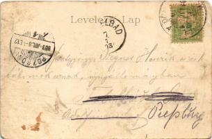 1903 Borosznófürdő, Brusno-kúpele (Borosznó, Brusznó, Brusno); A fürdő látképe. Kiadja Lechnitzky O....