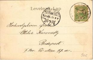 1903 Borosznófürdő, Brusno-kúpele (Borosznó, Brusznó, Brusno); Zenepavilon. Kiadja Lechnitzky O. fén...