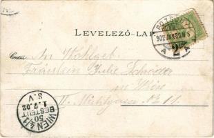 1902 Pozsony, Pressburg, Bratislava; Mária Lourdes-barlang, imádkozók. Neffe J. / place of worship, ...