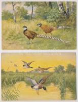 MADARAK - 11 db régi használatlan képeslap / BIRDS - 11 pre-1950 unused postcards