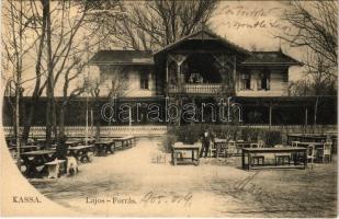 1905 Kassa, Kosice; Lajos-forrás, vendéglő. László Béla kiadása / spa, spring source, restaurant (EK)