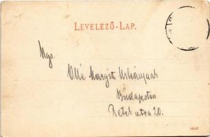 Kovácspatak, Kovacov; Otthon villa. Wallfisch S. kiadása / spa, villa (EK)