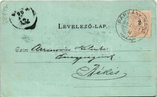 1899 (Vorläufer) Kovácspatak, Kovacov; Ámor-forrás. Esztergomi lapok nyomdája "Hunnia" kön...