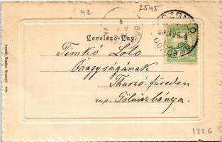 1902 Rozsnyó, Roznava; Vasas gyógyfürdő. Pauchli Nándor kiadása / spa, bath (kis szakadások / small ...