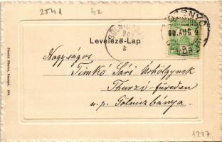 1902 Rozsnyó, Roznava; Vasas gyógyfürdő, park. Pauchli Nándor kiadása / spa, bath, park (EK)