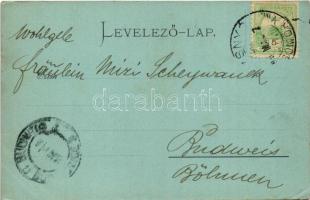 1902 Rozsnyó, Roznava; Maurer nyaraló (Csucsom). Falvi Jenő kiadása / villa (Cucma) (EK)