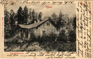 1906 Thurzófüred, Kupele Turzo (Gölnicbánya, Gelnica); Hygea nyaraló. Wlaszlovits G. 1338. / villa, spa (fl)