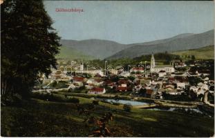 1911 Gölnicbánya, Göllnitz, Gelnica; látkép. Feitzinger Ede No. 730. / general view (EK)