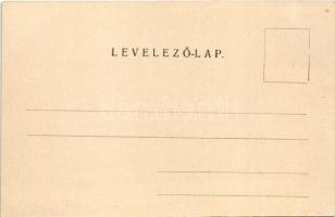 Csíz, Csízfürdő, Kúpele Cíz; nyaraló. Gedeon András kiadása / villa, spa