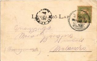 1905 Csíz, Csízfürdő, Kúpele Cíz; Fürdőház. Kohn Adolf kiadása / spa, bathhouse (kis szakadás / smal...