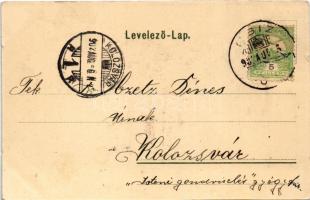 1902 Csíz, Csízfürdő, Kúpele Cíz; Hermin lak, nyaraló. Fogel Mór kiadása / villa, spa (kis szakadás ...