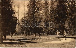 1924 Stubnyafürdő, Túróchévíz, Stubnianske Teplice, Turcianske Teplice; Partia z parku / park részlet / park, spa (EK)