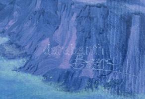 David Beeri (1951-): Tenger. Olaj, vászon. Jelezve jobbra lent, a hátoldalán autográf felirattal. 50...