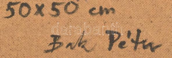 Bak Péter (1950-): Naplemente a Balatonon. Olaj, farost, jelzett, hátoldalán autográf felirattal, Ké...