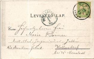 1900 Tarcsa, Tarcsafürdő, Bad Tatzmannsdorf; Mária villa és Karolina villa. Hönigmann kiadása / Mari...