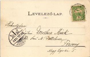 1902 Tarcsa, Tarcsafürdő, Bad Tatzmannsdorf; Mária és Karolina villa. Löwy Gusztáv és Testvére kiadá...