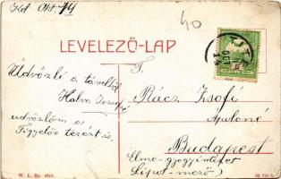 1910 Titel, Tisza folyó részlet DDSG 6569 és 6543 uszályokkal. W.L. Bp. 2324. / riverside, barges (E...