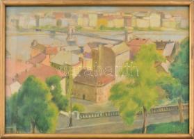 Lengyel jelzéssel: Budapesti panoráma a Lánchíddal. Pasztell, papír, üvegezett fakeretben. 31,5x49 cm