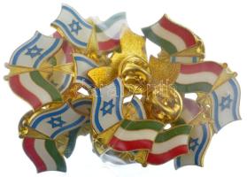 DN 14db magyarországi és izraeli zászlópárt ábrázoló, pillangó patentes jelvény (19x26mm) T:1,1-