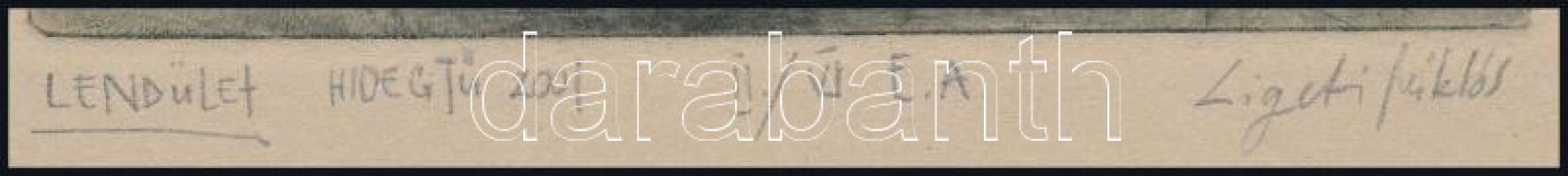 Ligeti Miklós (1982-): Gördeszkás (lendület), 2001. Hidegtű, papír, jelzett, számozott (II/VI). 15x1...