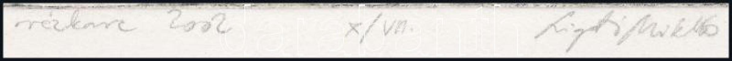 Ligeti Miklós (1982-): Madárka, 2002. Rézkarc, papír, jelzett, számozott (X/VII). 25x14,5 cm