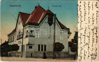 1913 Nagykároly, Carei; Ecsedi láp-lecsapoló társulat székháza. Gál Samu kiadása / wetlands drainage company headquarters (EB)