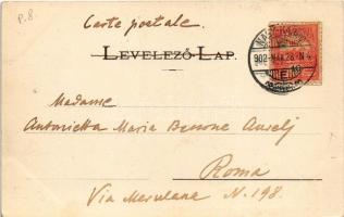 1902 Nagykároly, Carei; Jókai utca, Markovits Mór üzlete. Eigner Simon kiadása / street view, shop (...