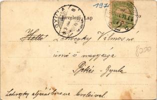 1902 Szatmárnémeti, Szatmár, Satu Mare; Kálvária, Konviktus. Reizer János kiadása. Szecessziós virág...