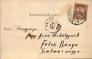 1900 Szatmárnémeti, Szatmár, Satu Mare; Római katolikus főgimnázium, Deutsch, Spitz S. és Társa üzle...