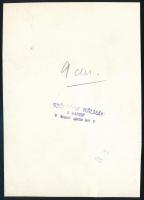 Szöllősy Kálmán (1887-1976): Bp., Margit híd a Parlamenttel, hátoldalán pecséttel jelzett fotó, 17,5...