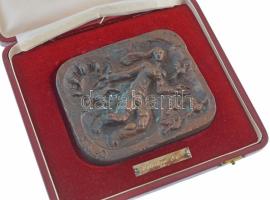 Somogyi József (1916-1993) 1975. "MR (Magyar Rádió) 1925-1975" kétoldalas bronz plakett to...