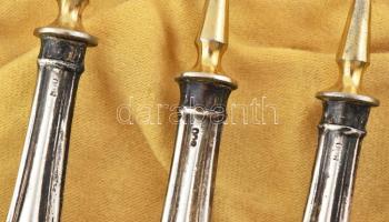 Ezüst (Ag) nyelű, aranyozott acél, gyümölcsös / desszertes evőkészlet, dobozban, jelzett, pár darabo...