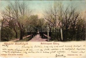 1901 Keszthely, Balatonparti sétány. Sujánszky József 167. (EK)