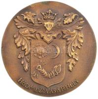 DN Hódmezővásárhely / Hódmezővásárhely közszolgálatáért bronz érdemérem eredeti, bőrből készült tartóban (136mm) T:1,1-