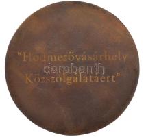 DN "Hódmezővásárhely / Hódmezővásárhely közszolgálatáért" bronz érdemérem eredeti, bőrből ...