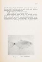 Sárvári Horváth Pál: Akvárium A.B.C. Bp., [1942], szerzői magánkiadás, 167 p. Egyetlen kiadás. Átköt...