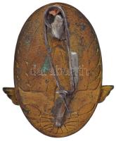 ~1960-1970. "Kiváló Vasutas" zománcozott fém kitüntető jelvény (30x44mm) T:2 cserélt tű