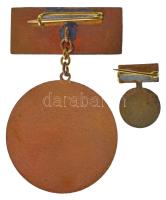 ~1975. "Magyar Vöröskereszt Kiváló Véradó" festett, műgyantás kitüntetés eredeti tokban, m...