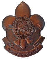 ~1930. Hungaria bronz cserkész sapkajelvény, árvalányhaj tartóval (46x37mm) T:1-