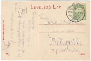 1909 Tövis, Teius; Részlet a hetipiacból, vásár, Ábrahám Testvérek üzlete. W.L. (?) 1648. Klein Mihá...