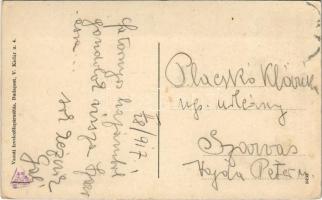 1917 Szatmárnémeti, Szatmár, Satu Mare; Deák tér, üzletek, piac. Vasúti levelezőlapárusítás / square...